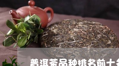 普洱茶品种排名前十名有哪些/2023121664035