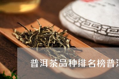 普洱茶品种排名榜普洱熟茶基本工艺/2023060306151