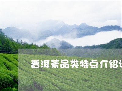 普洱茶品类特点介绍词句/2023121697137