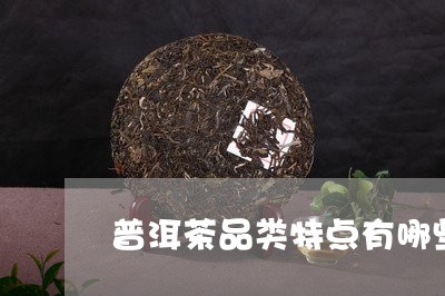 普洱茶品类特点有哪些呢/2023050666369