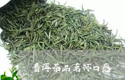 普洱茶品茗杯口感/2023120403927