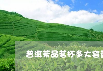 普洱茶品茗杯多大容量/2023062530817