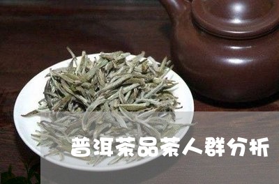 普洱茶品茶人群分析/2023112550280