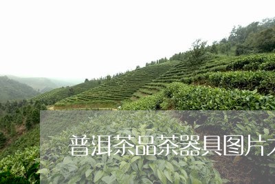 普洱茶品茶器具图片大全/2023121643827