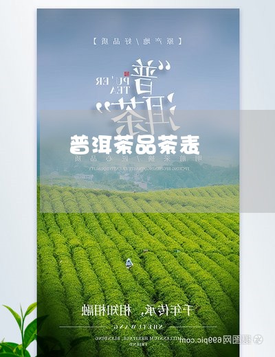 普洱茶品茶表/2023042770381