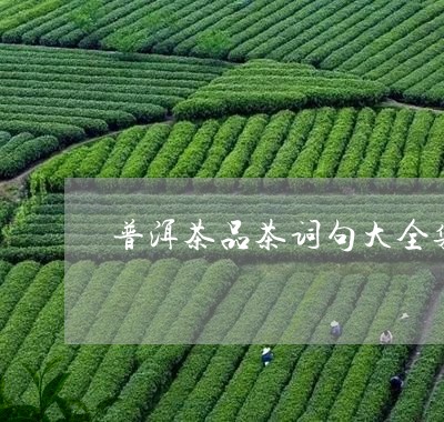 普洱茶品茶词句大全集/2023110687360