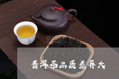 普洱茶品质差异大/2023091487271