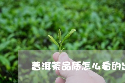 普洱茶品质怎么看的出来/2023050477250