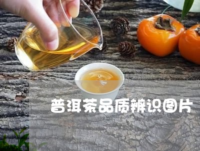 普洱茶品质辨识图片/2023101660482