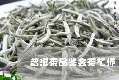 普洱茶品鉴会茶艺师/2023112426368