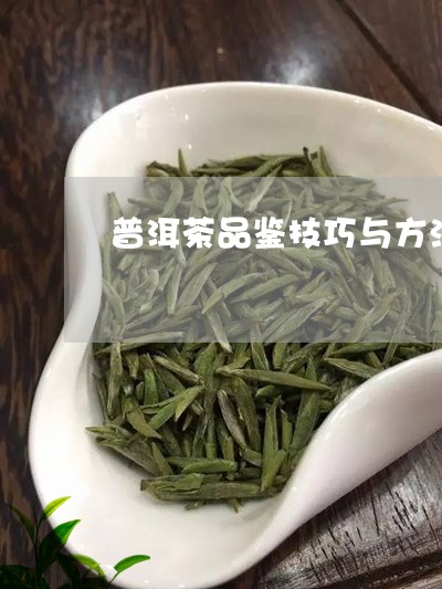 普洱茶品鉴技巧与方法视频/2023112442725