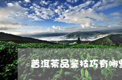 普洱茶品鉴技巧有哪些/2023120687170