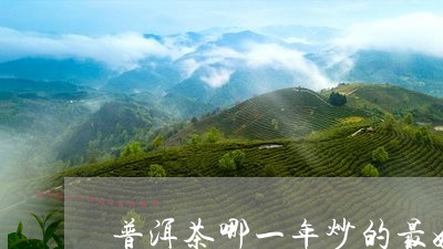 普洱茶哪一年炒的最好/2023061404038