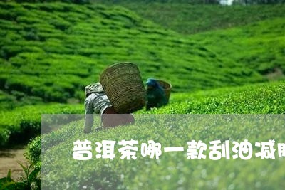 普洱茶哪一款刮油减脂/2023120649604