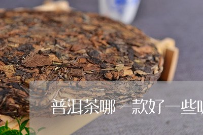 普洱茶哪一款好一些呢/2023112403837