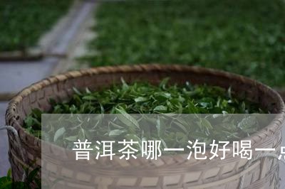 普洱茶哪一泡好喝一点的/2023110651784