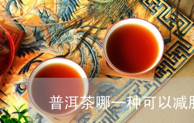 普洱茶哪一种可以减肥/2023092684826