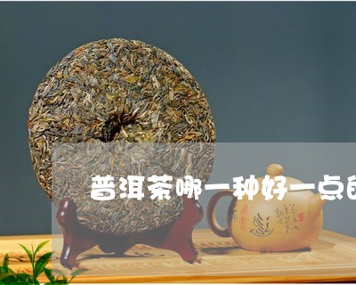 普洱茶哪一种好一点的茶/2023110123827