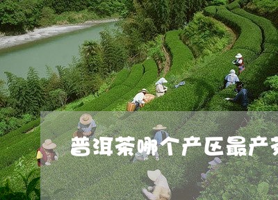 普洱茶哪个产区最产茶/2023100704938