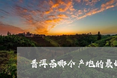 普洱茶哪个产地的最好/2023100843625