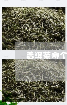 普洱茶哪个价位的茶好/2023100719494