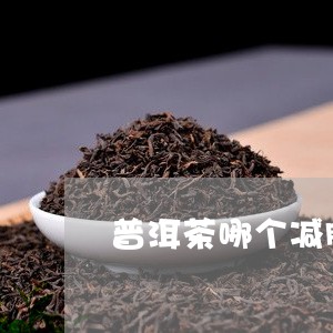 普洱茶哪个减肥效果好呢/2023121615939