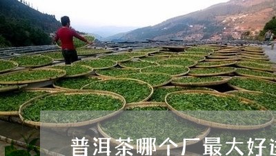 普洱茶哪个厂最大好进/2023121625180