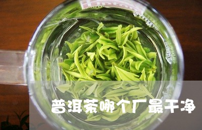 普洱茶哪个厂最干净/2023080373928