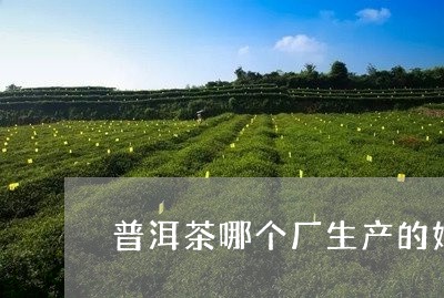 普洱茶哪个厂生产的好/2023092991725