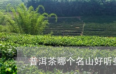 普洱茶哪个名山好听些一点/2023112550475