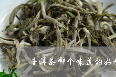 普洱茶哪个味道的好些/2023062904940