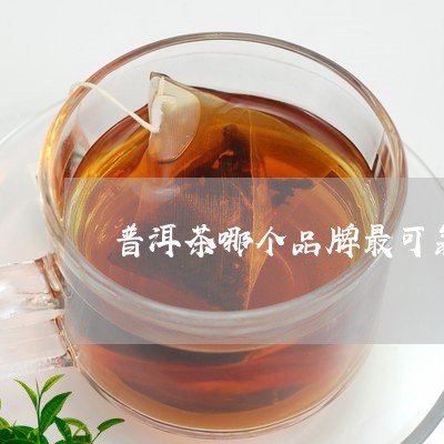 普洱茶哪个品牌最可靠/2023080397380