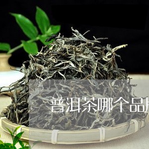 普洱茶哪个品牌最好卖/2023100738158