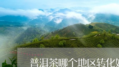 普洱茶哪个地区转化好/2023080216563