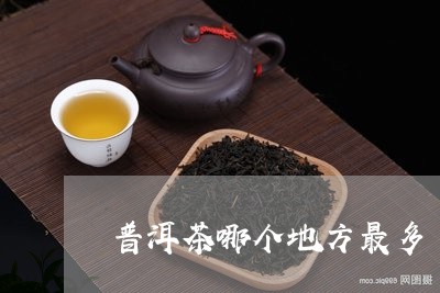 普洱茶哪个地方最多/2023070837269