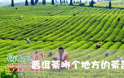 普洱茶哪个地方的茶苦/2023080236040