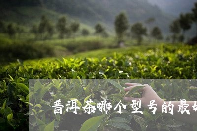 普洱茶哪个型号的最好/2023080383859