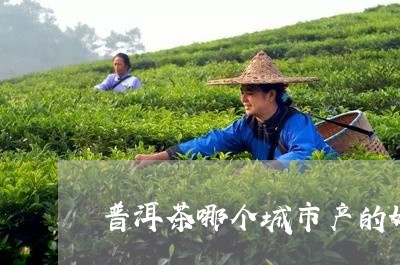 普洱茶哪个城市产的好/2023093097160