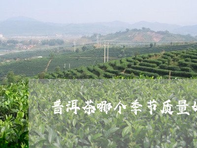 普洱茶哪个季节质量好/2023080352816