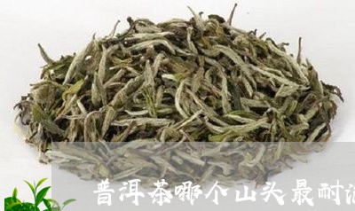 普洱茶哪个山头最耐泡/2023092923939