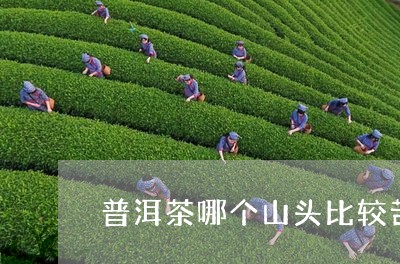 普洱茶哪个山头比较苦/2023062818470