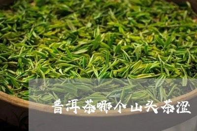 普洱茶哪个山头茶涩/2023070996149