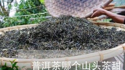 普洱茶哪个山头茶甜/2023070929580