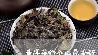 普洱茶哪个山最香好/2023091514146