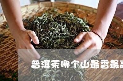 普洱茶哪个山最香最高价/2023121641817