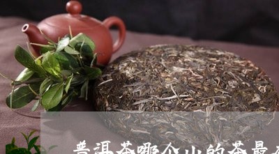 普洱茶哪个山的茶最香/2023062482726