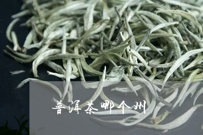 普洱茶哪个州/2023042961860