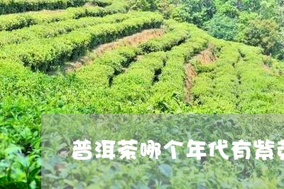 普洱茶哪个年代有紫芽的/2023110158681