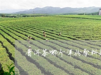 普洱茶哪个年份原料好/2023100811613