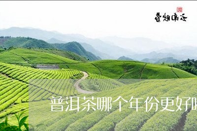 普洱茶哪个年份更好喝/2023121685239